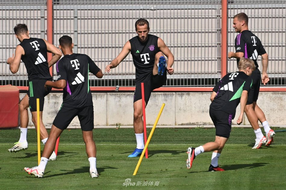 撰写一份更 撰写一份更